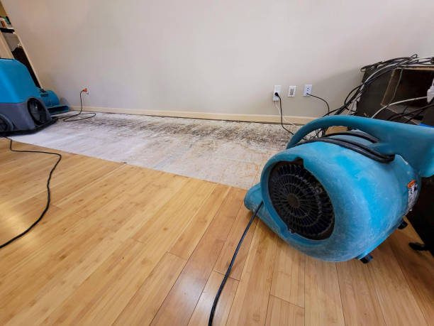 Professional Basement Flood Cleanup technician working in Fultonville, NY